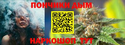 шишки Будённовск