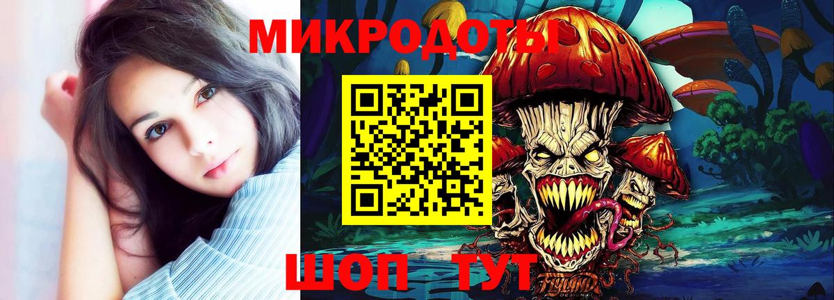 Галлюциногенные грибы Psilocybine cubensis Печора