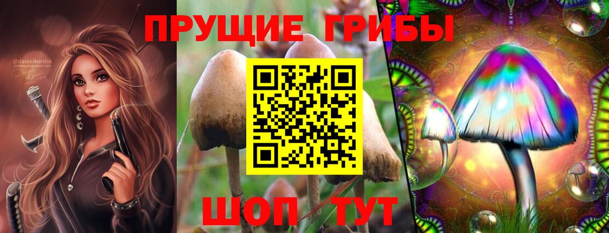 Галлюциногенные грибы ЛСД  Вход с VPN  Печора 